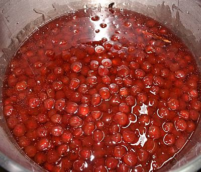 Γλυκό Κουταλιού Κερασάκι 450gr